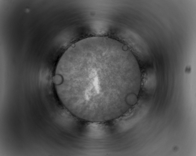 X0000103900568200810311412