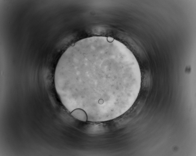 X0000103900569200810311412