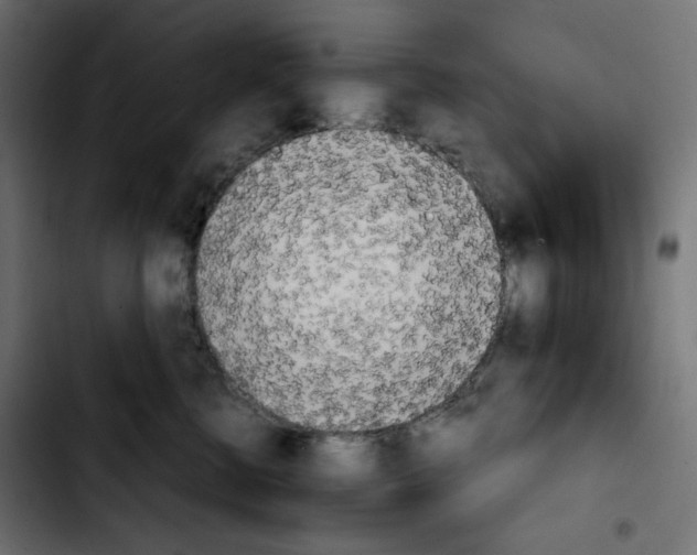 X0000103900570200810311412