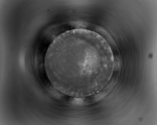 X0000103900573200810311412