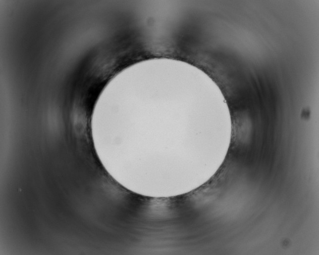 X0000103900574200810311412