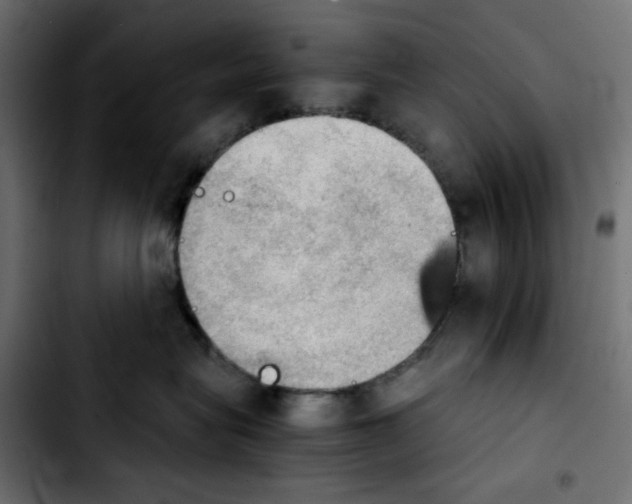 X0000103900575200810311412