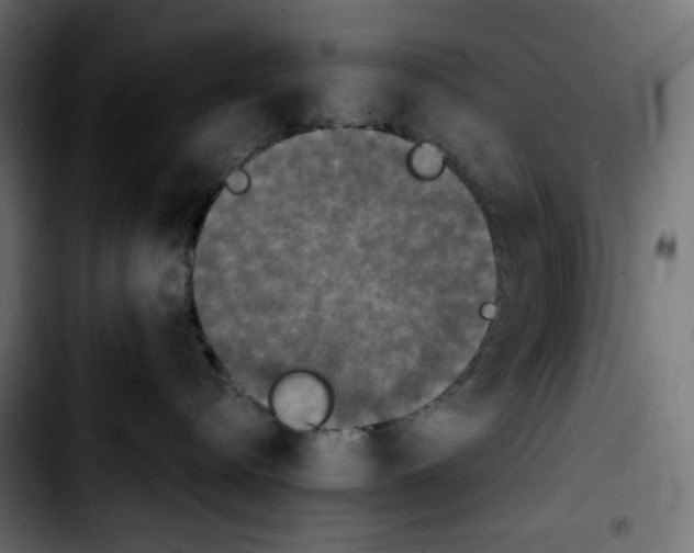 X0000103900576200810311412