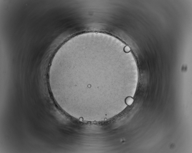 X0000103900577200810311412