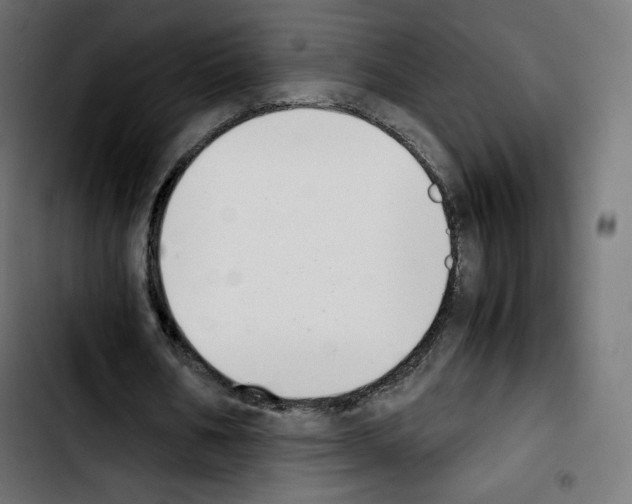 X0000103900578200810311412