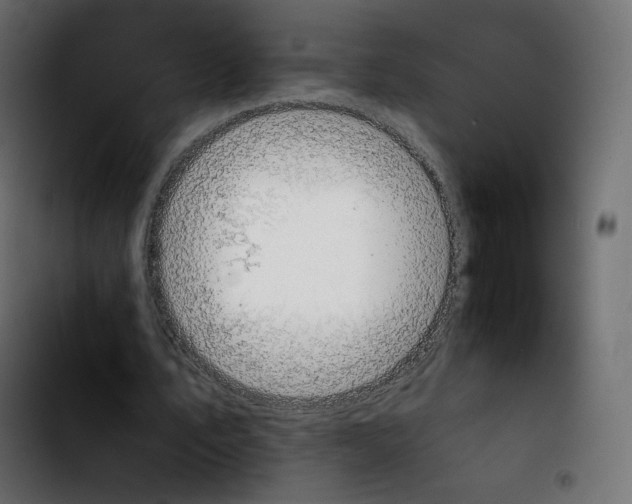 X0000103900579200810311412