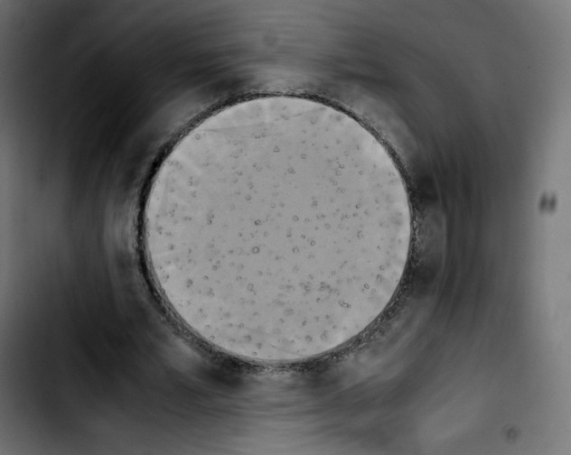 X0000103900581200810311412