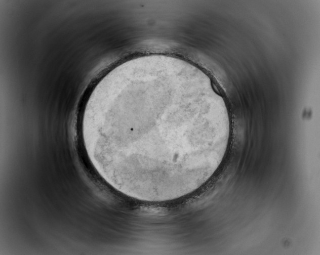 X0000103900582200810311412