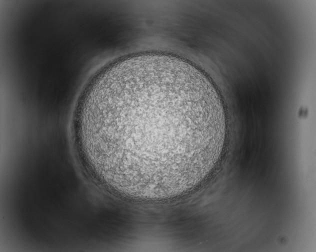 X0000103900583200810311412