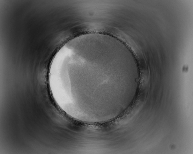 X0000103900585200810311411