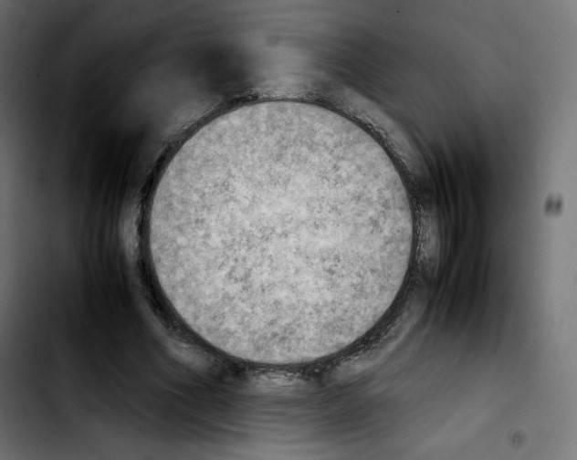 X0000103900586200810311411