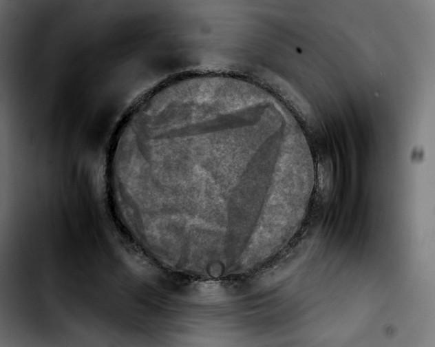 X0000103900588200810311411