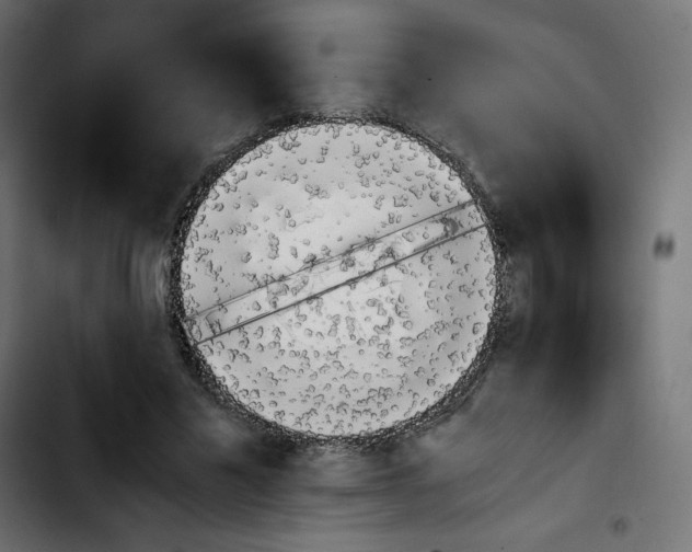 X0000103900589200810311411