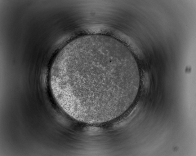 X0000103900590200810311411