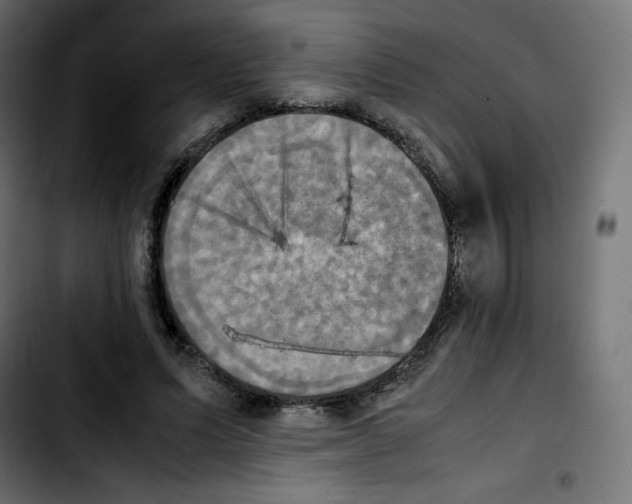 X0000103900591200810311411