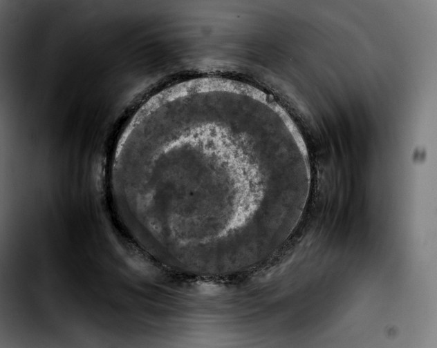 X0000103900592200810311411