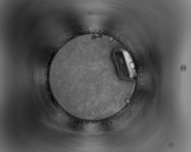 X0000103900593200810311411