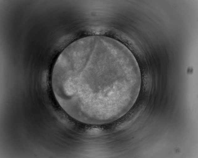 X0000103900594200810311411