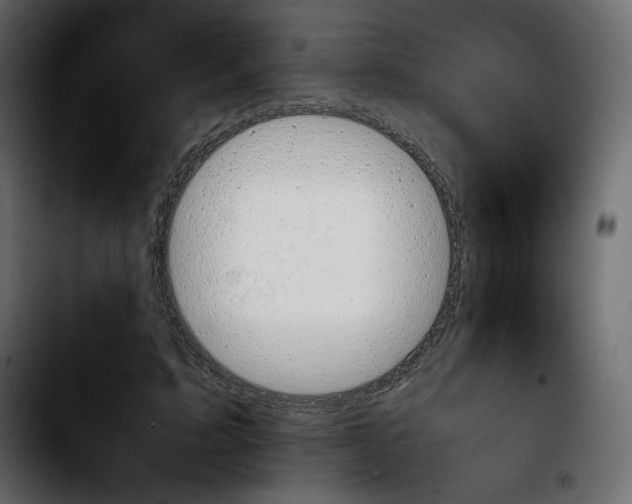 X0000103900595200810311411