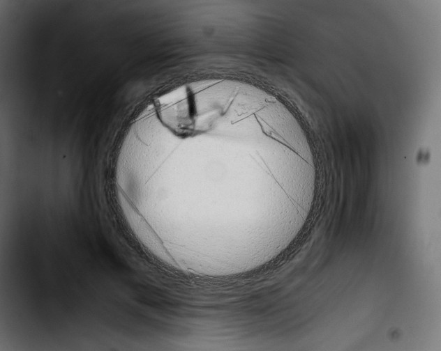 X0000103900597200810311411