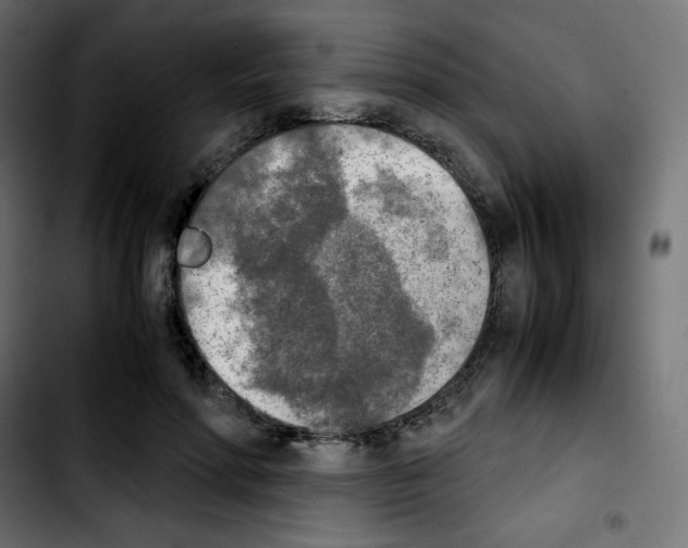 X0000103900598200810311411