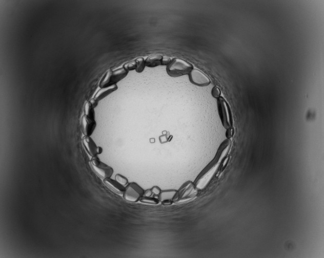 X0000103900599200810311411