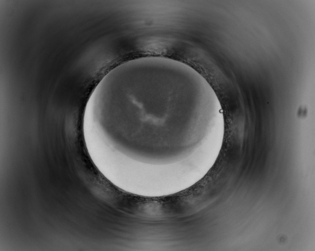 X0000103900600200810311411