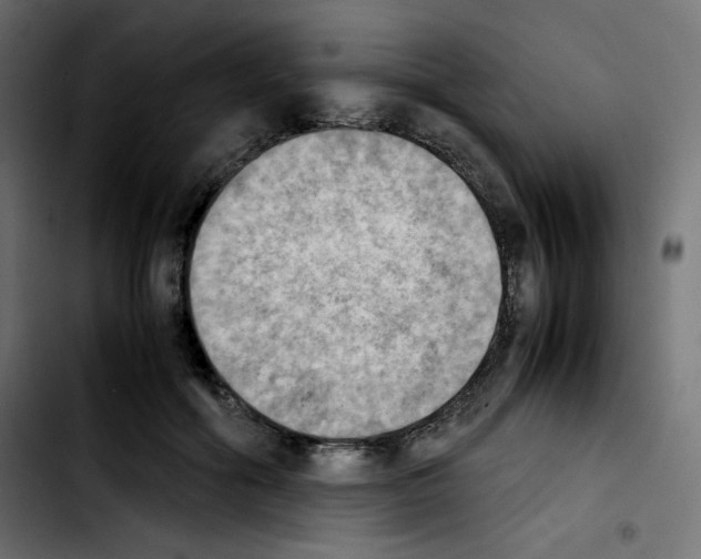 X0000103900602200810311411