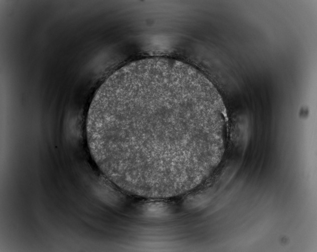 X0000103900604200810311411