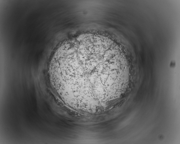 X0000103900605200810311411