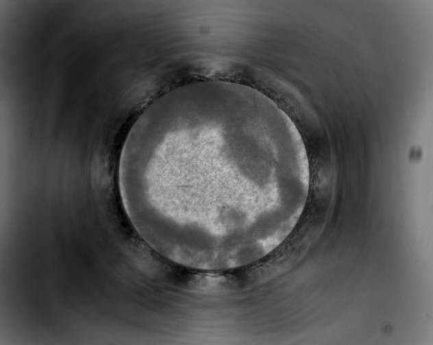 X0000103900607200810311411