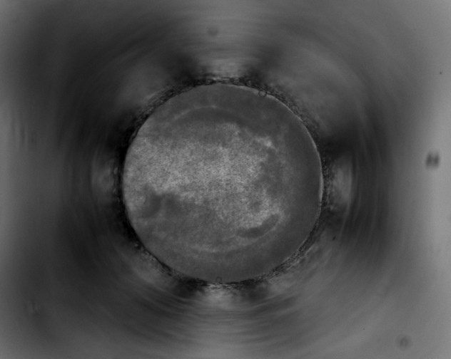 X0000103900608200810311411