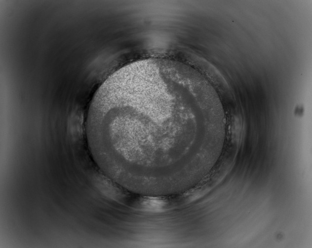 X0000103900610200810311411