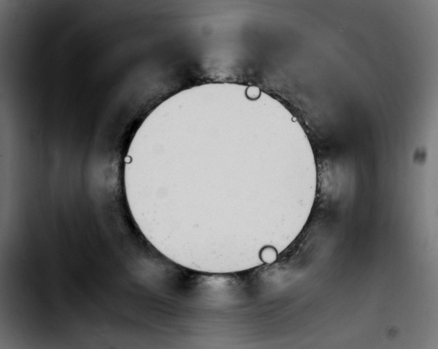 X0000103900611200810311411