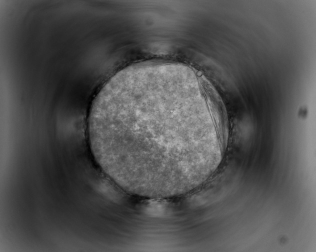 X0000103900612200810311411