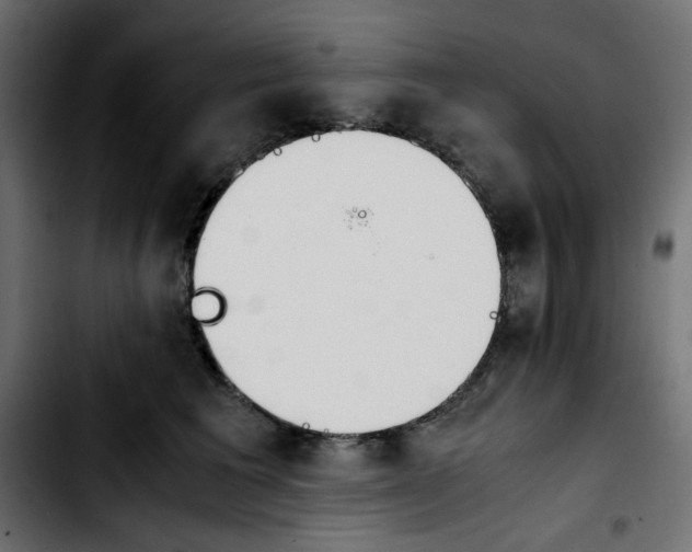 X0000103900613200810311411