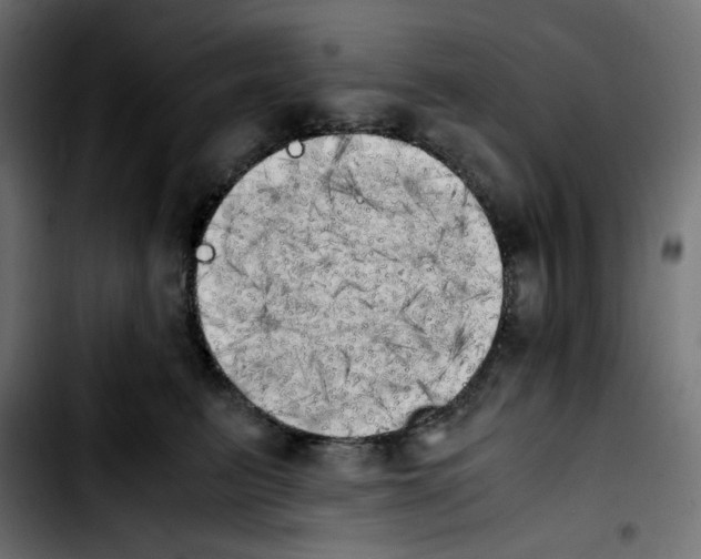 X0000103900615200810311411