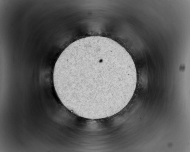 X0000103900616200810311411