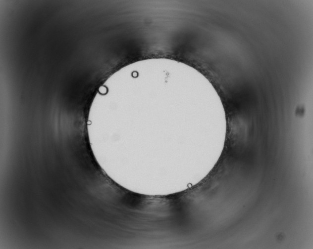 X0000103900617200810311411