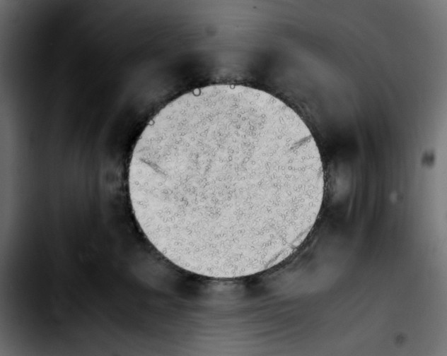 X0000103900619200810311411