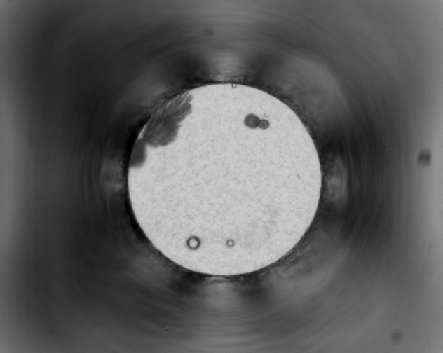 X0000103900620200810311411