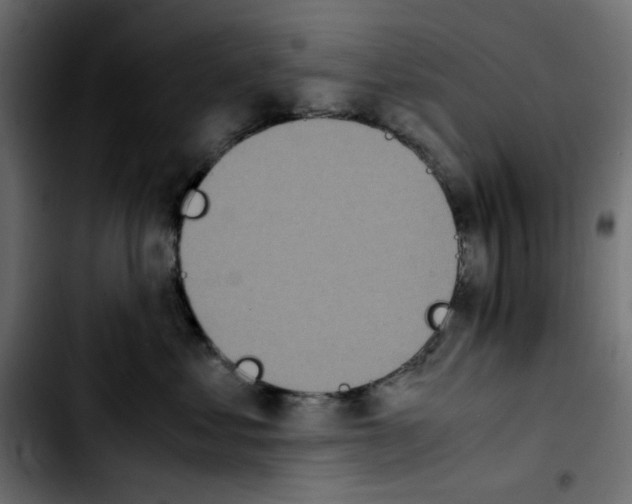 X0000103900621200810311411