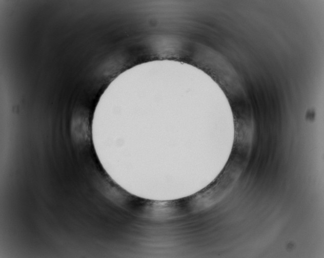 X0000103900622200810311411