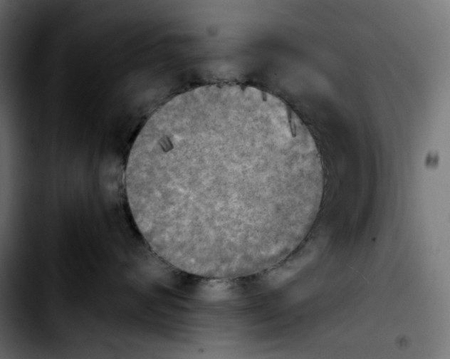 X0000103900624200810311411