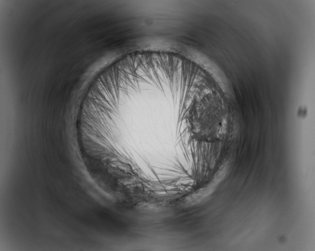 X0000103900625200810311410