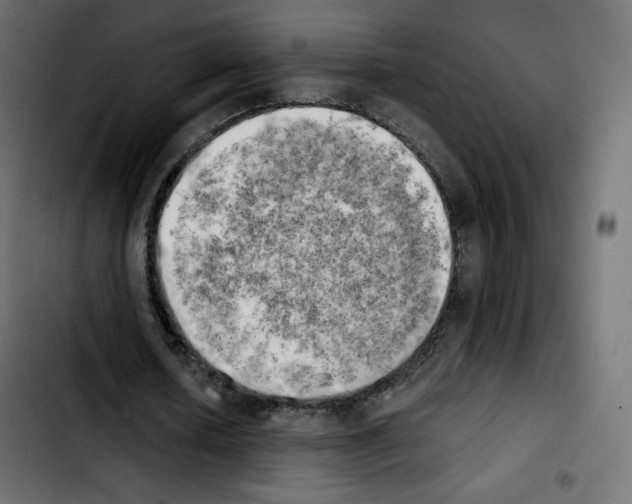 X0000103900626200810311410