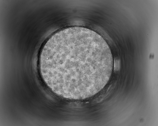 X0000103900627200810311410