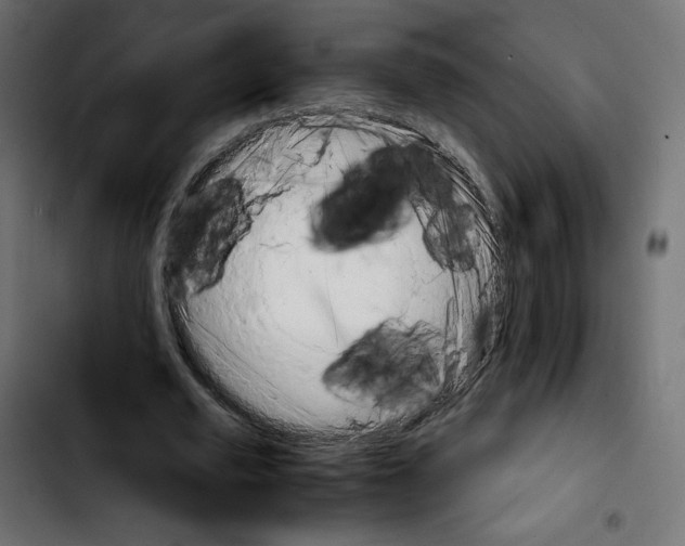 X0000103900629200810311410