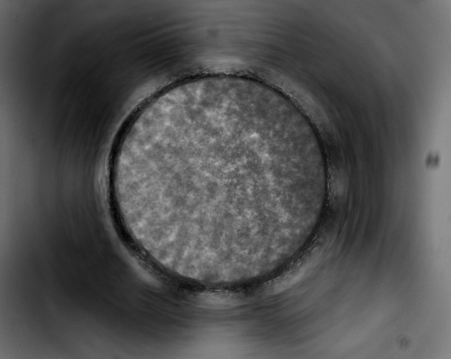 X0000103900630200810311410