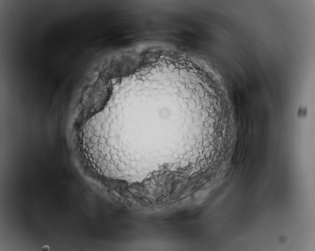 X0000103900631200810311410